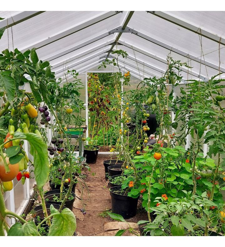 szklarnia ogrodowa z poliwĘglanu 5,6m2 tunel poliwĘglanowy 210x270 ptf